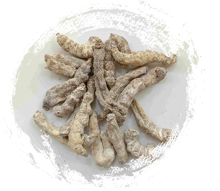 Rigor de seda (Jiāngcán)