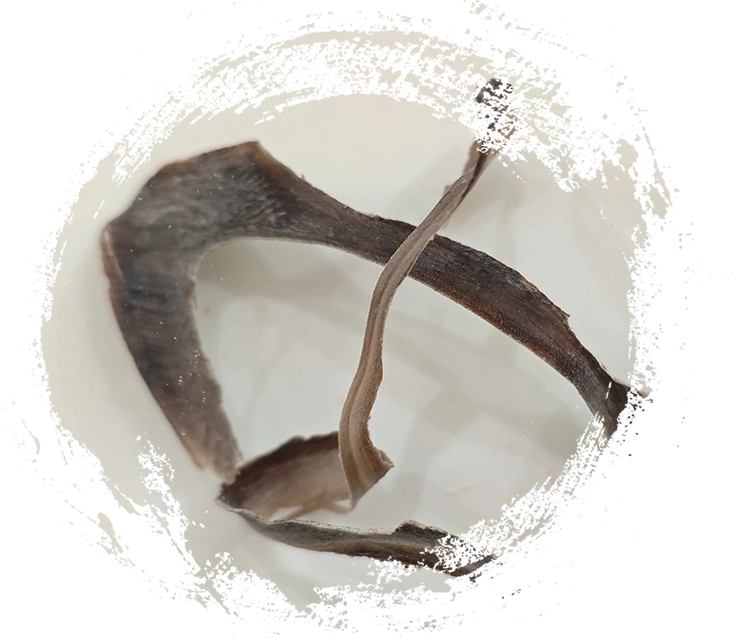 Buffalo Buffalo de agua (Shuǐniújiǎo)