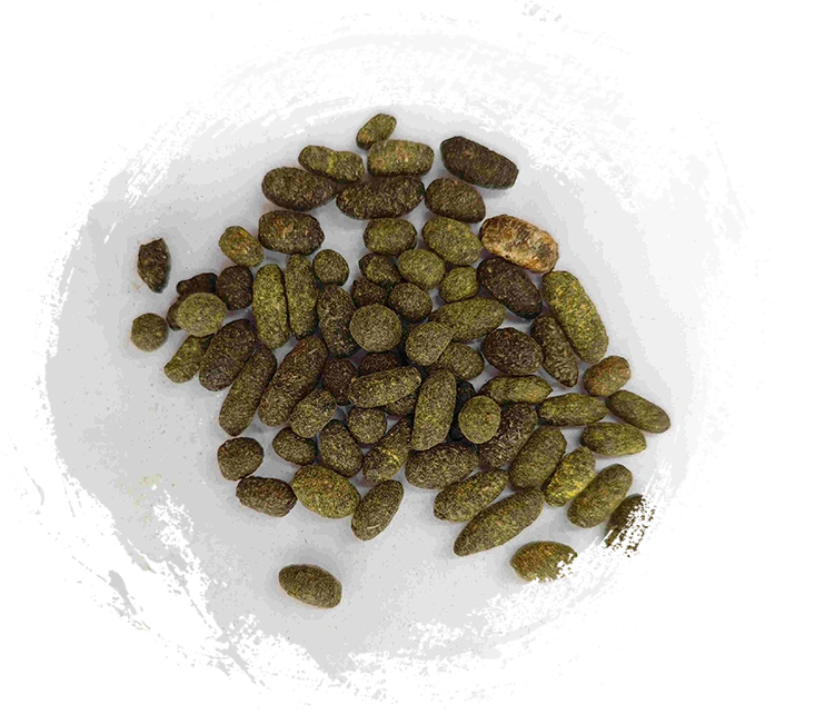 Resina de árbol de laca (Wǔlíngzhī)