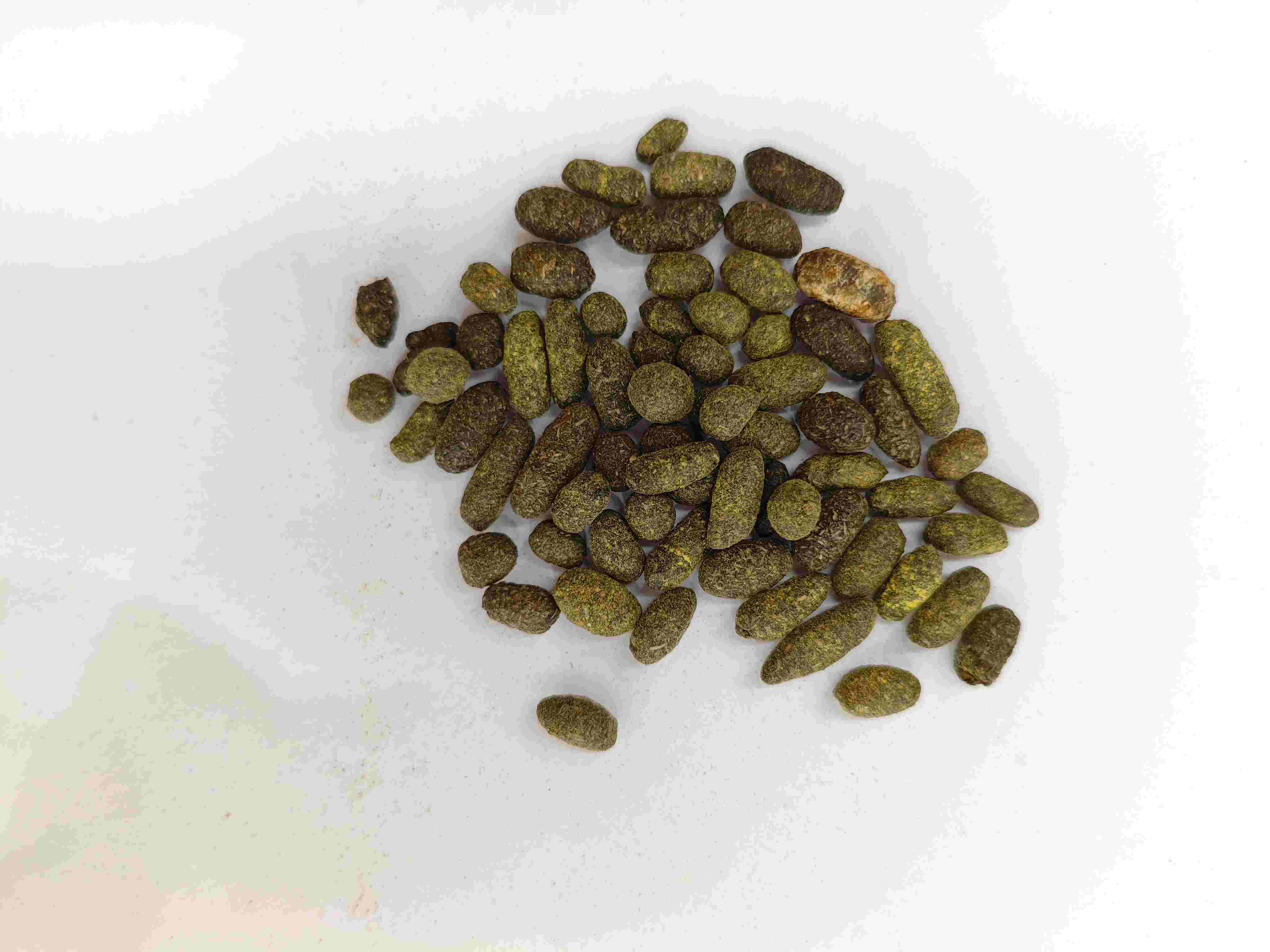 Resina de &aacute;rbol de laca (Wǔl&iacute;ngzhī)