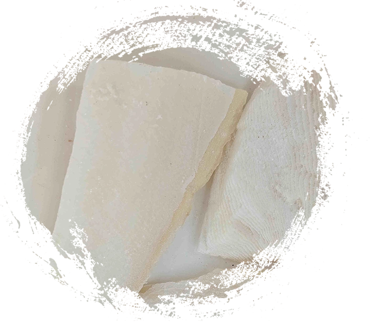 Cuttlebone (Hǎipiāoxiāo)