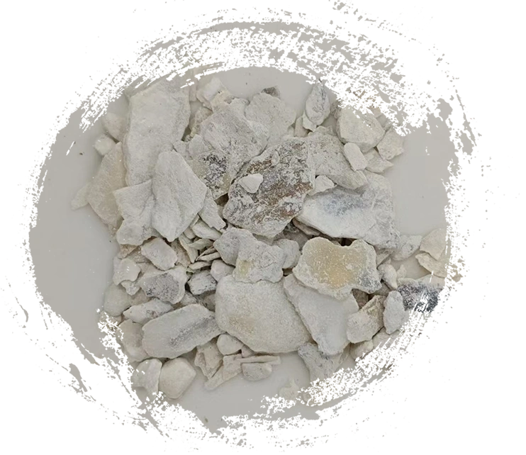 Shell Oyster (Mǔlì)