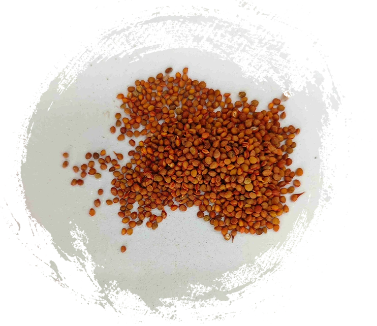 ¿Qué características debería buscar en la medicina mineral tradicional china de alta calidad?