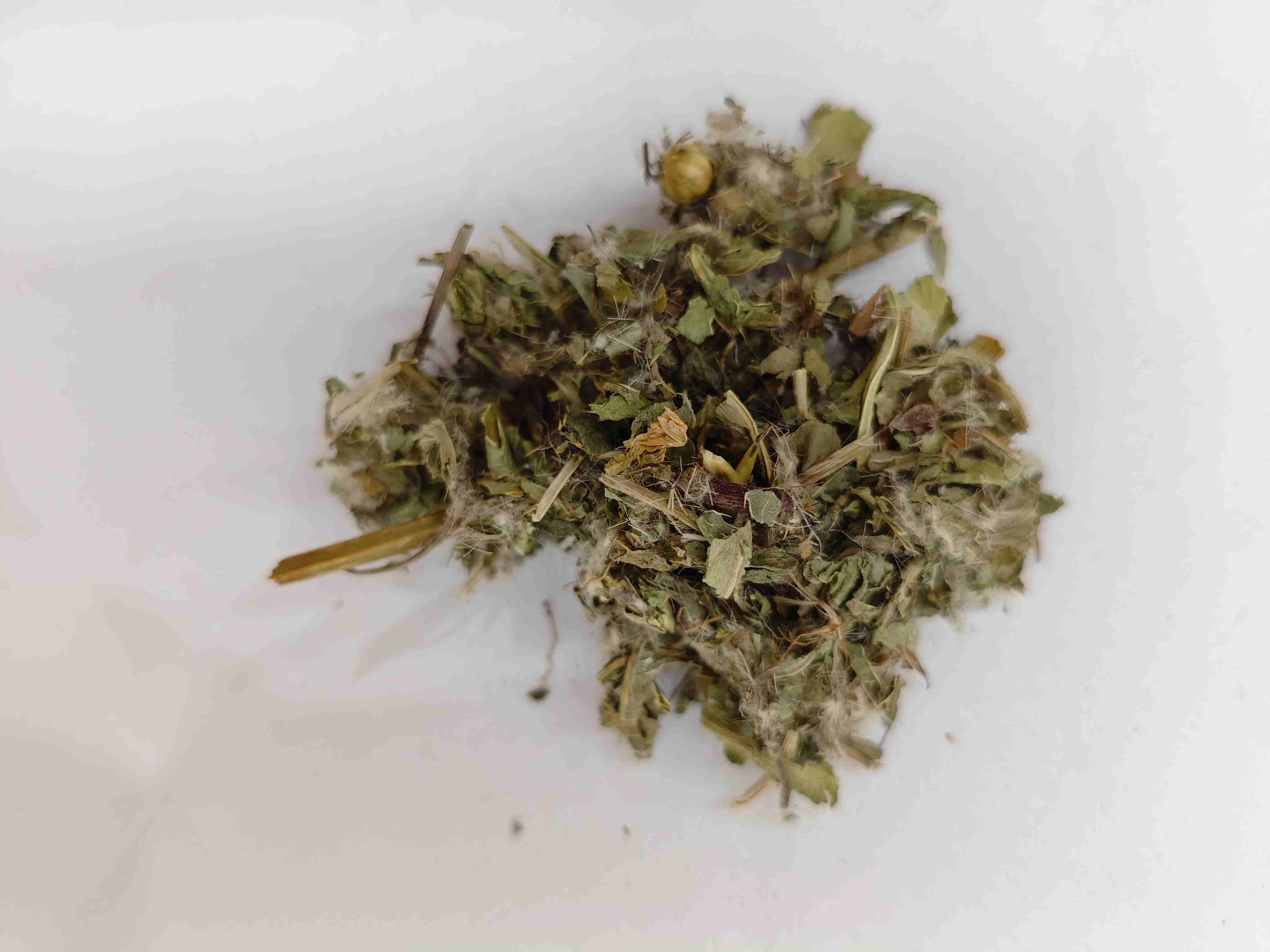 Cardo menor (xiǎo jì)