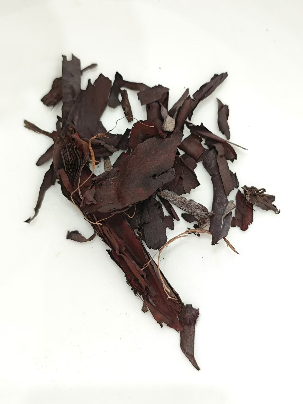 Litopermum (Zǐcǎo)