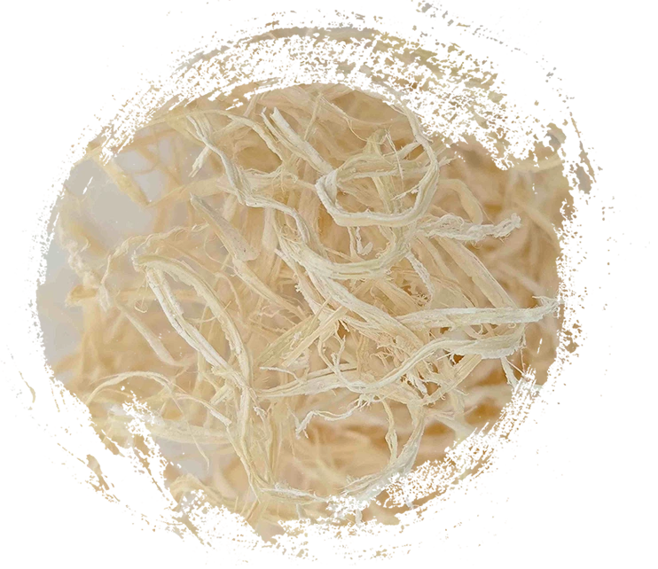 Mena de bambú (Zhú Rú)