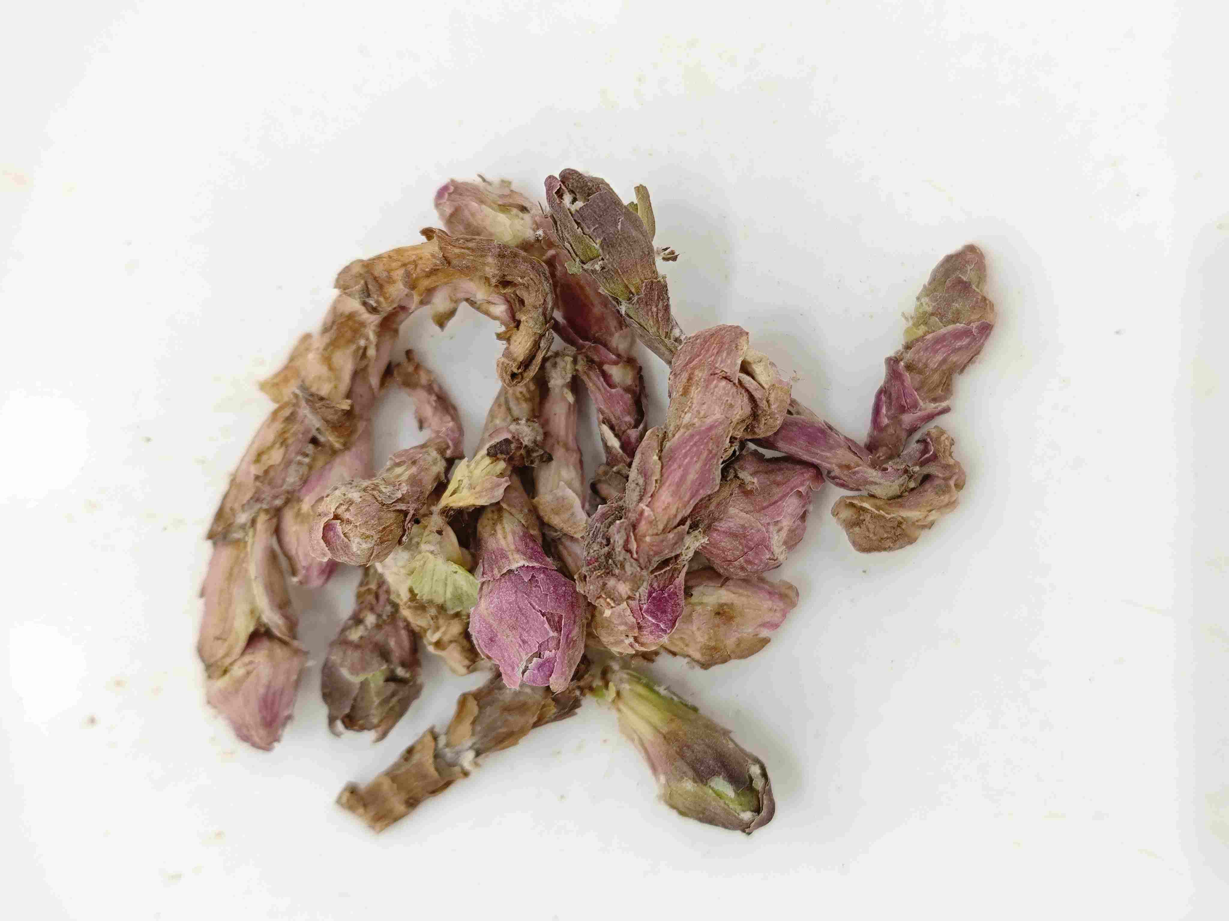 Florhelmet flor (kuǎndōng huā)