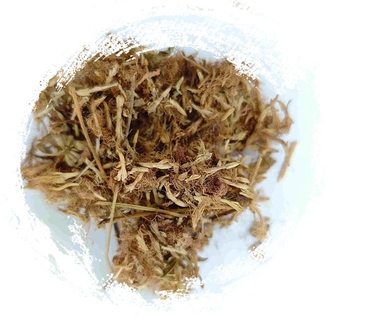 Flor de árbol de seda (Héhuān huā)