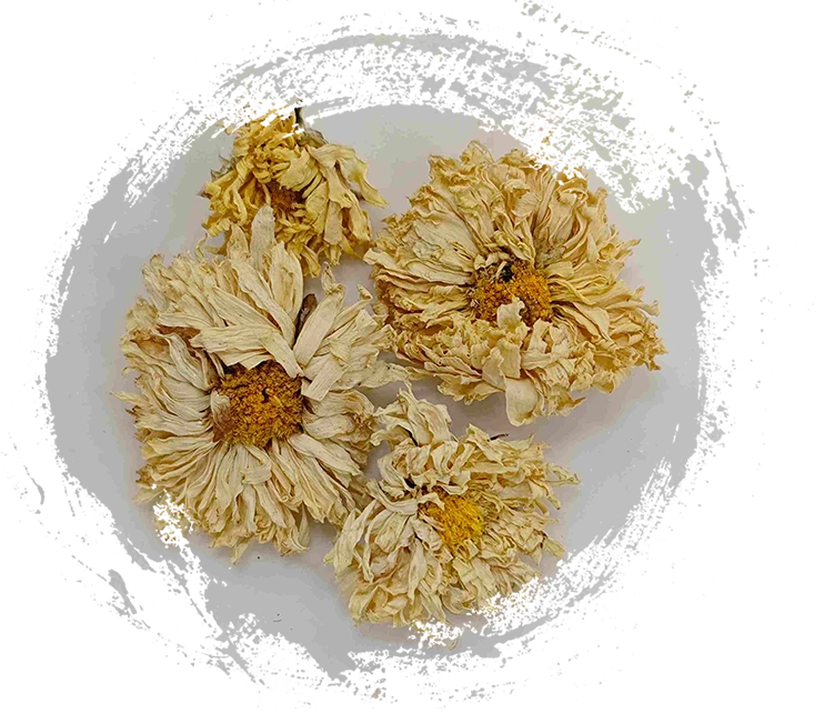 El papel central de las plantas en la medicina tradicional china