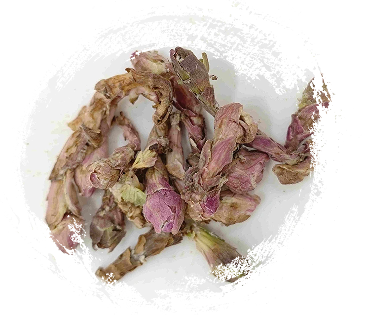 Florhelmet flor (kuǎndōng huā)