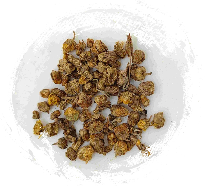 Crisantemo salvaje (yě jú huā)