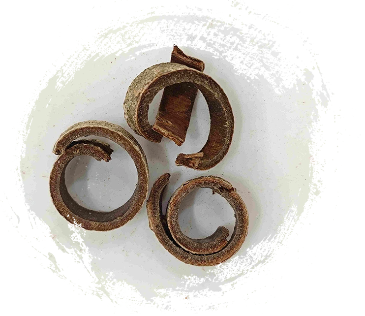 Corteza de Magnolia (Hòupò)