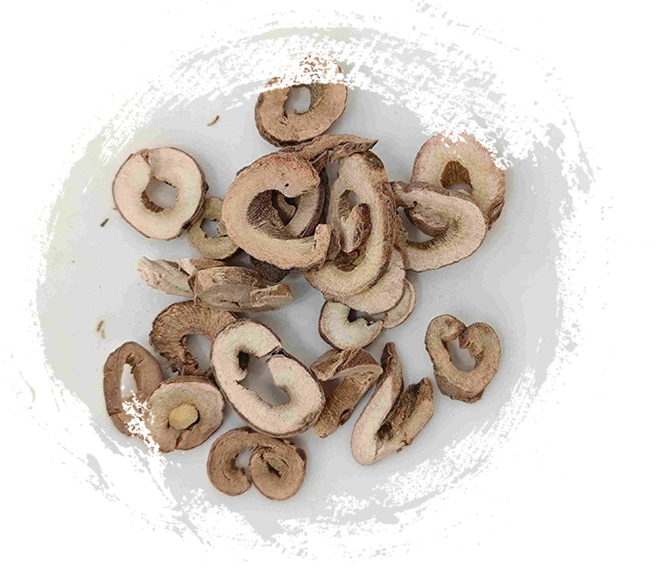 Corteza de peonía de árbol (mǔdān pí)