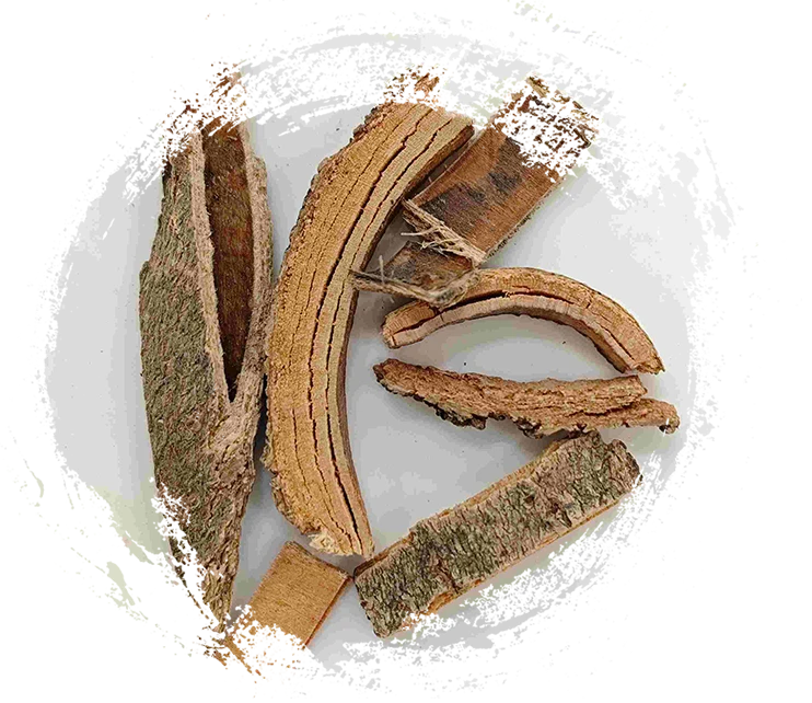 Corteza de ceniza china (Qín Pí)