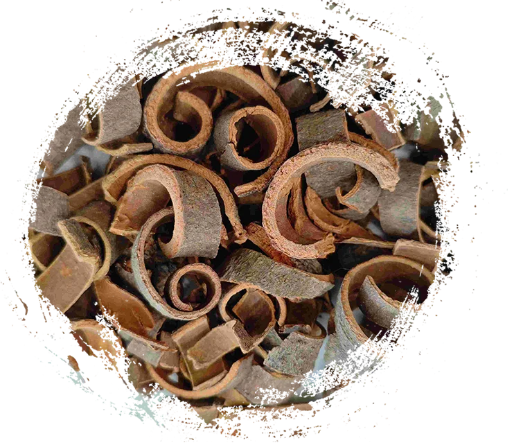 Propiedades y características curativas clave de las plantas herbáceas de la medicina tradicional china