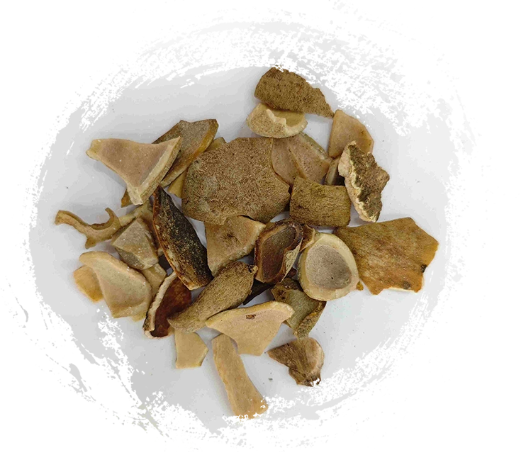 Los 7 principales beneficios para la salud de la hiel china (Wu Bei Zi) que debes conocer