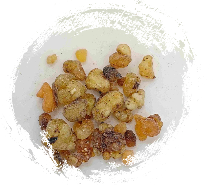 Incienso (rǔxiāng)