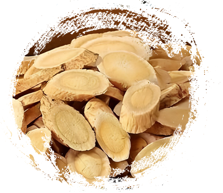 Hierbas medicinales raras y preciosas